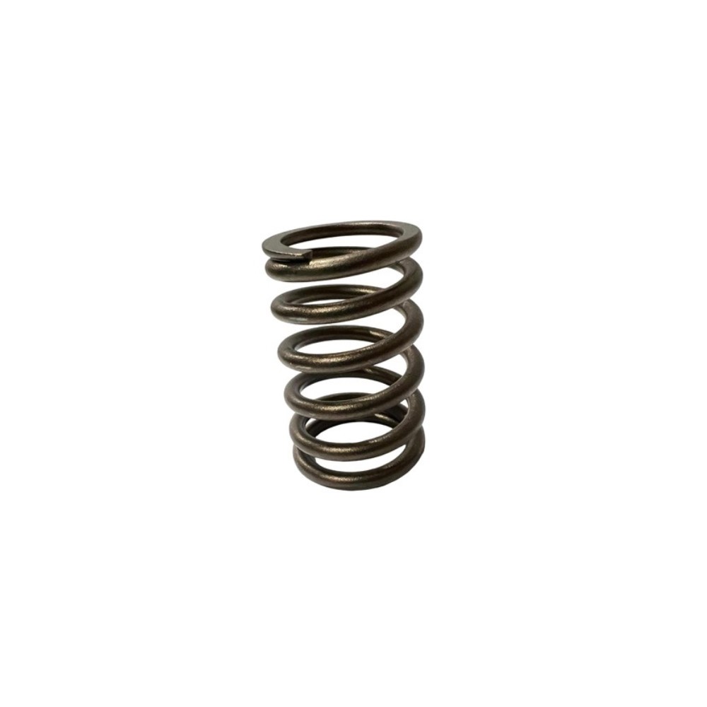 Lai Kam Wah Sdn. Bhd. Specialist in VW Aircooled Parts - 111109623 - Valve Spring